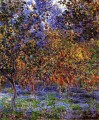 Bajo los limoneros Claude Monet